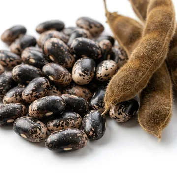 Mucuna